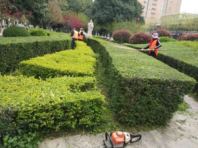 了解塑胶跑道彩色颗粒材质的选择范围