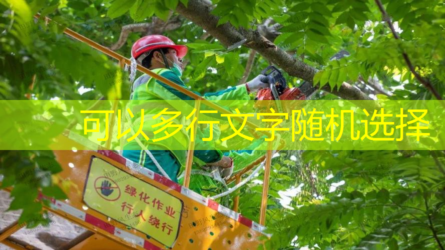 江南俱乐部，网球拍训练器东方甄选