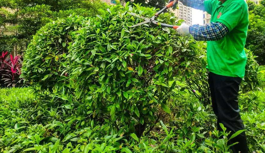 jn江南官方体育，网球拍多少克最好打球呢