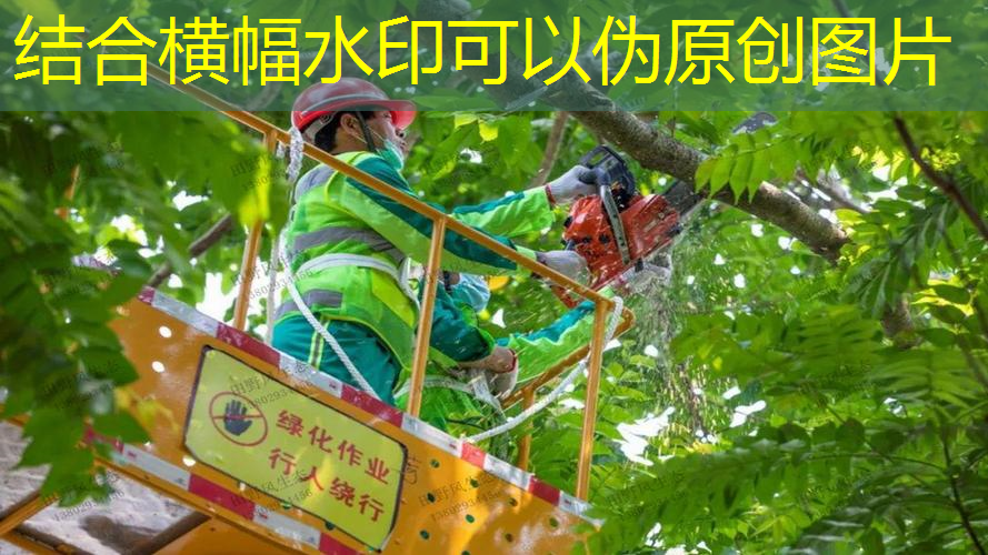 江南·体育官方网站登录，夜晚室内健身好吗女生多吗