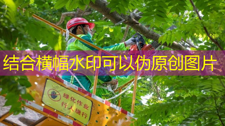 鹰格蓝网球拍穿线机