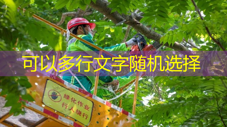 塑胶跑道材料为旅游景点增色不少